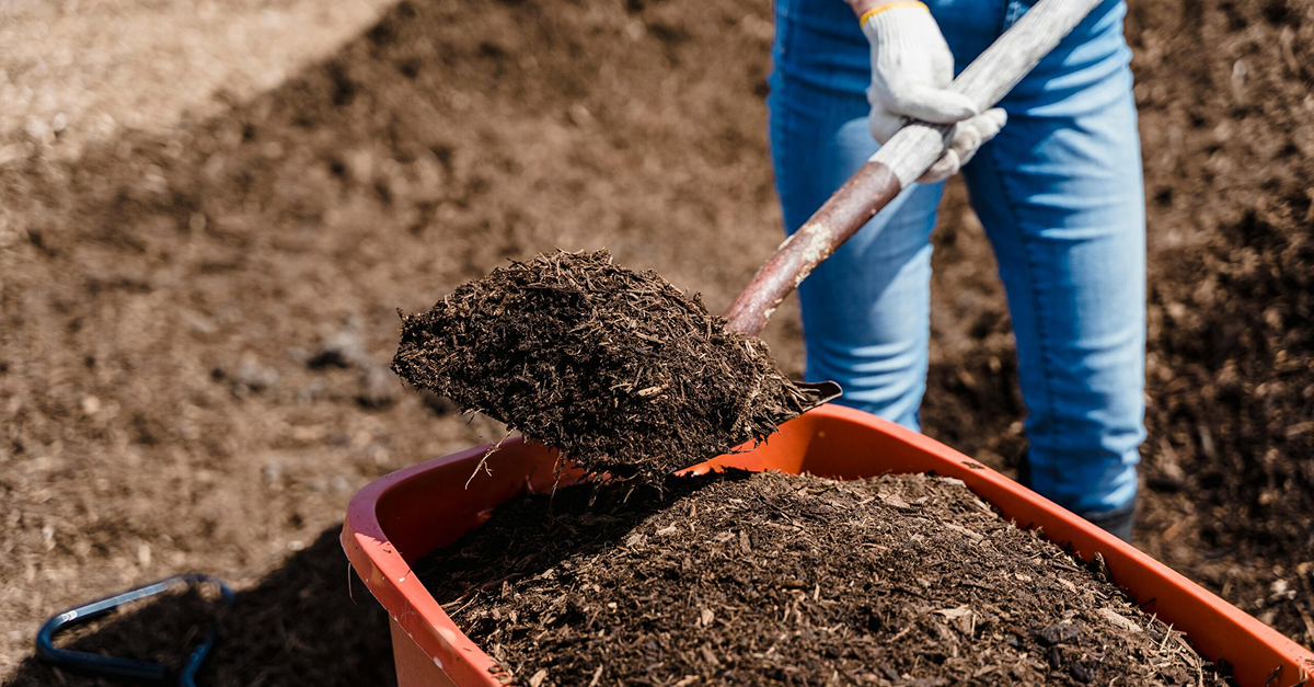 Mulch Delivery